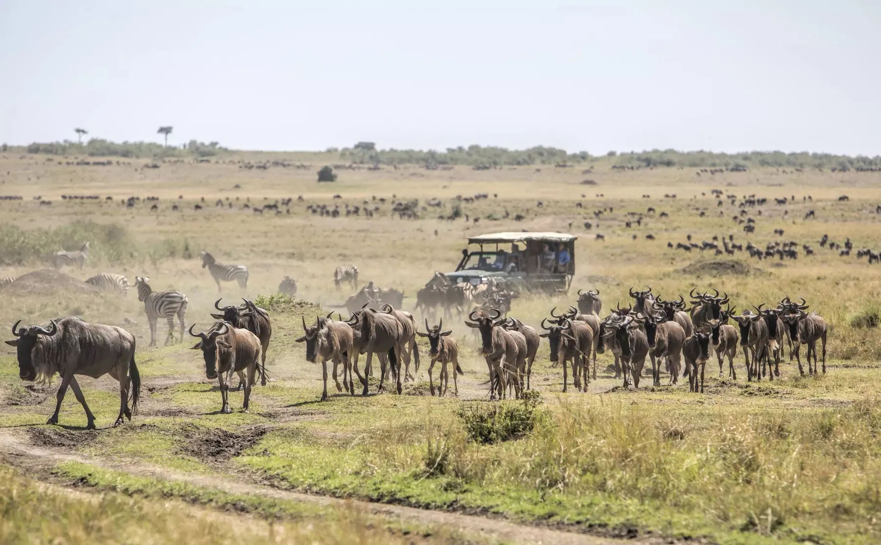 Tanzania travel image