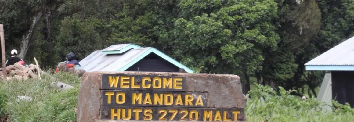 Tanzania travel image
