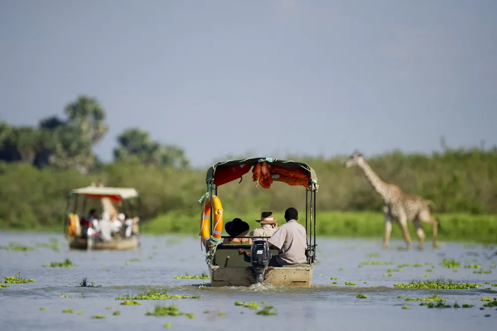Nyerere National Park Safari Guide