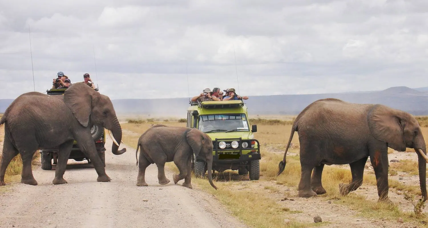 Tanzania travel image