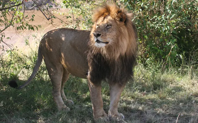 Tanzania travel image