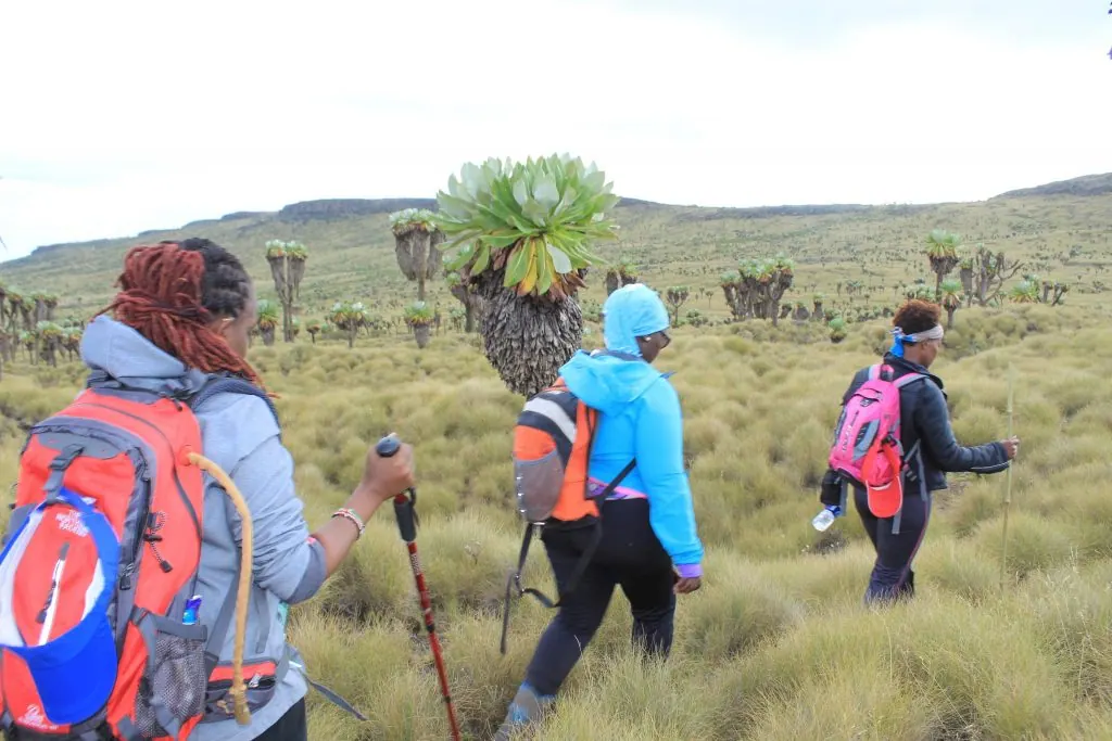 Tanzania travel image