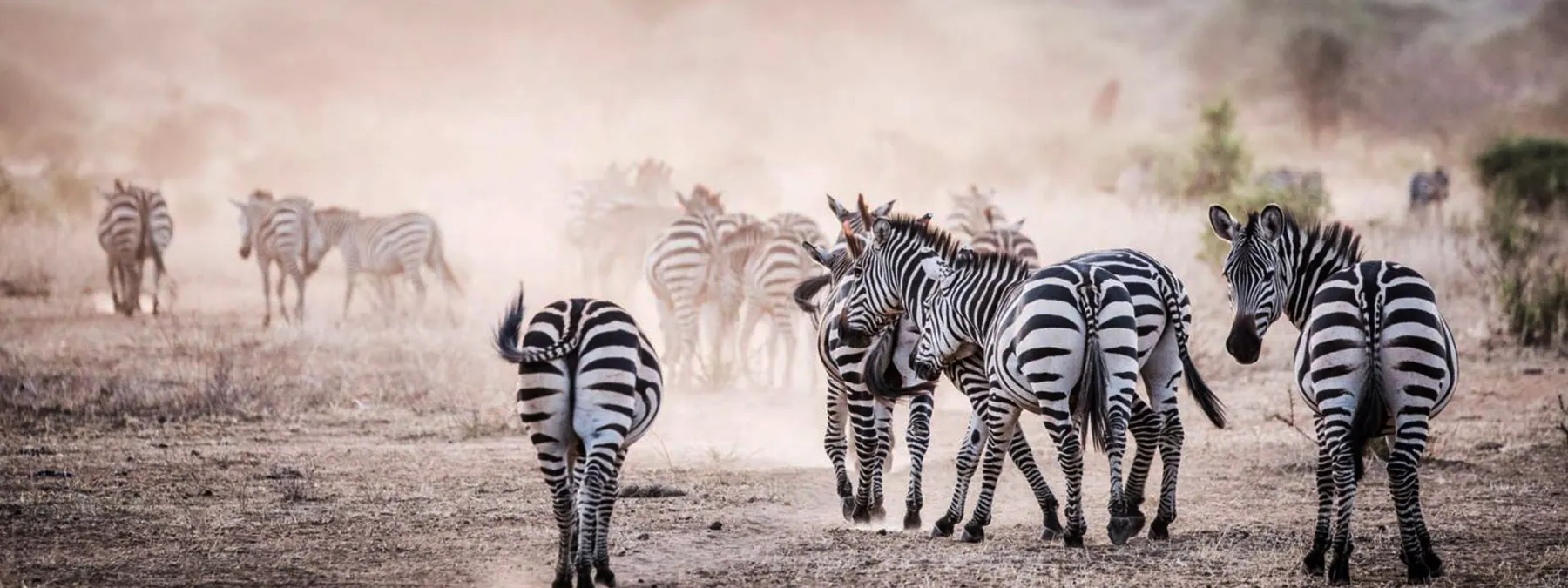 Tanzania travel image