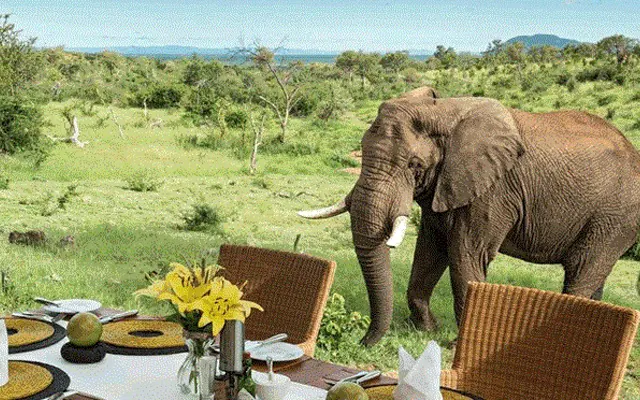 Tanzania travel image