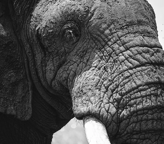 Tanzania travel image