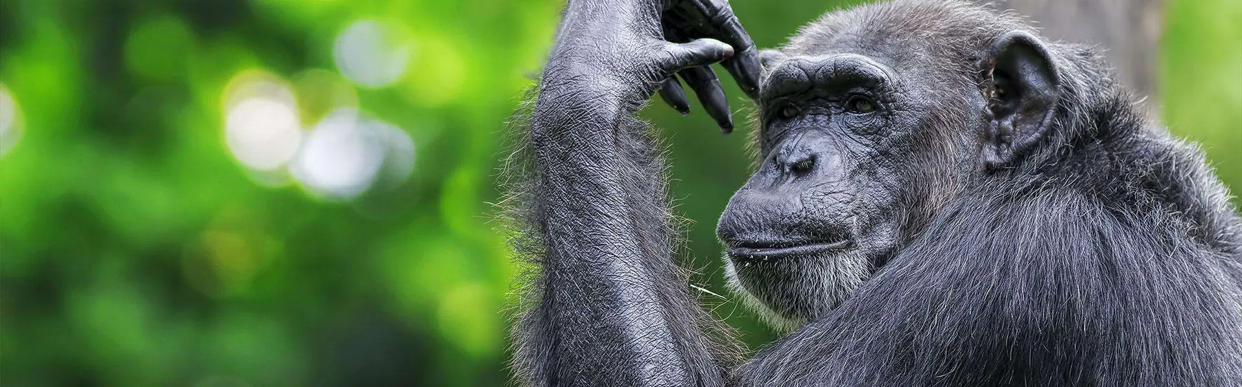Tanzania travel image
