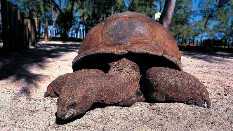 Tanzania travel image