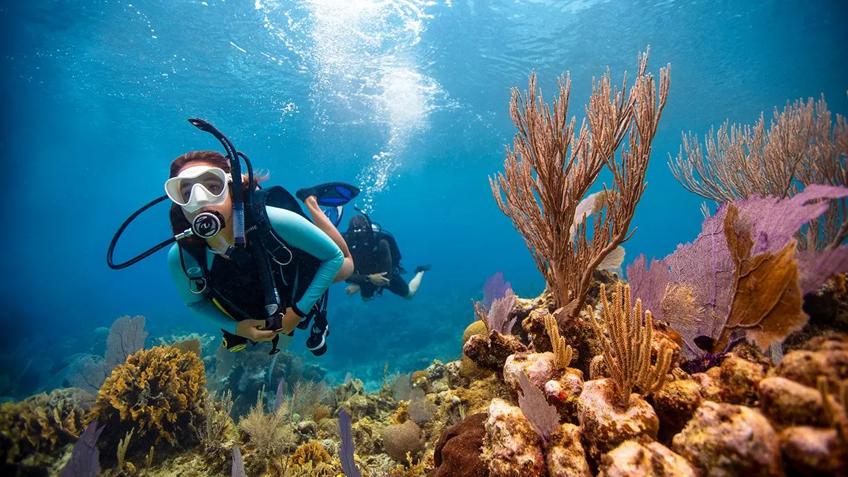 Ocean experiences
