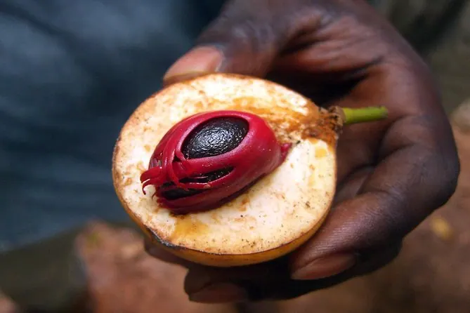 Tanzania travel image