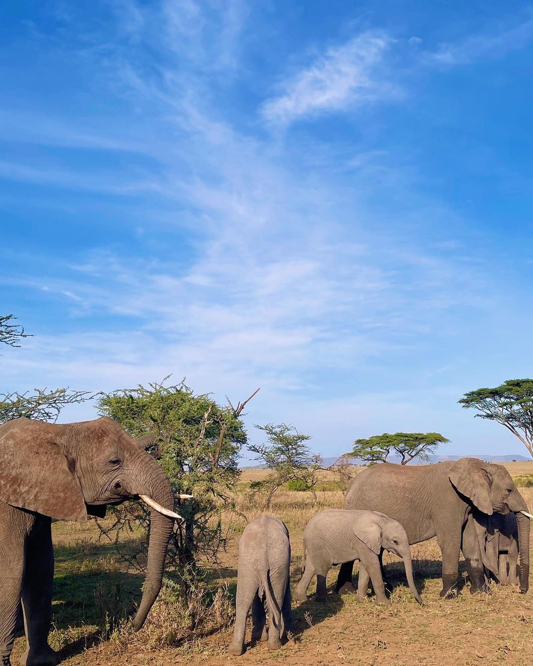 Tarangire National Park