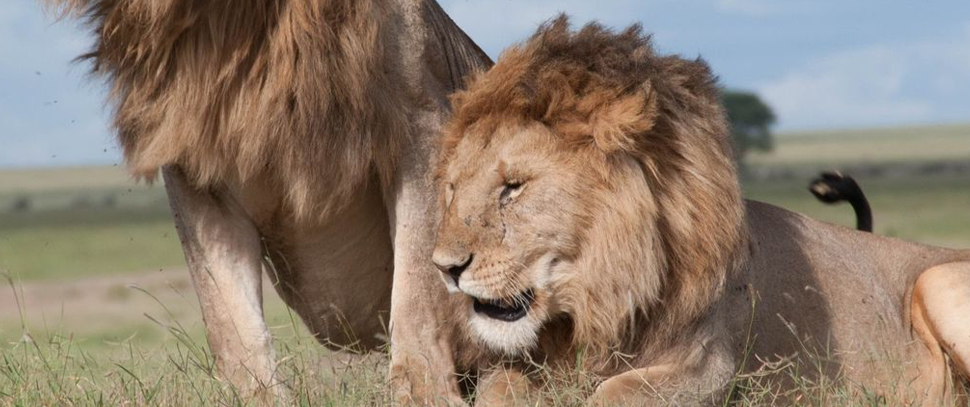 3 Days Budget Camping Northern Tanzania Circuit Small Group Tour + Zanzibar